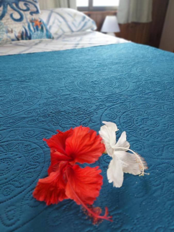 בוקס דל טורו The Sunsetter Bed & Breakfast מראה חיצוני תמונה